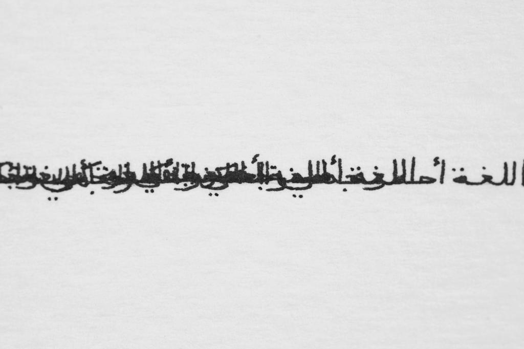 Quotes-Ibn-Khaldun_2020-element2-detail.jpg
Nicène Kossentini
Detail of Ibn Khaldun (triptych), 2020
Ink on paper. 21 x 90 cm 
Courtesy of the artist and Sabrina Amrani 